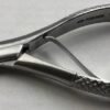 Extracting Pedo Forceps