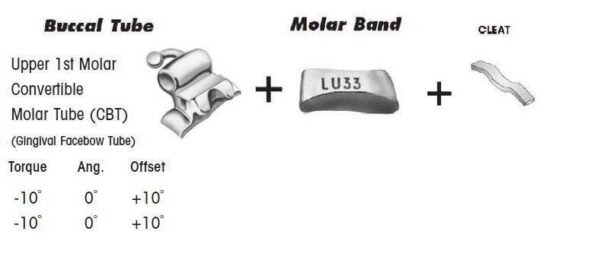 1st Molar Bands Assembly with Upper CBT Buccal Tube and Cleat