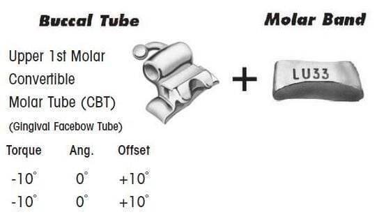 1st-Upper-Molar-Convertible-Molar-Tube.jpg 1st Molar Bands Assembly with Upper CBT Buccal Tube