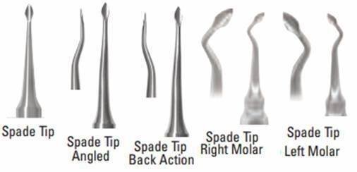 Bone Preservation Elevator Kit - A. Titan