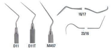 Endodontic - DA