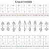 Lingual Brackets