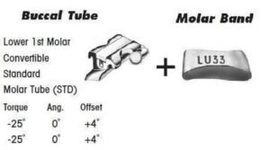 1st Molar Bands Assembly with Lower STD Buccal Tube