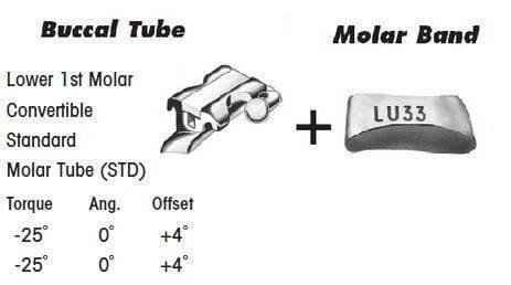 1st Molar Bands Assembly with Lower STD Buccal Tube