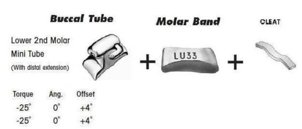2nd Molar Band Assembly with Lower Single Buccal Tube and Cleat