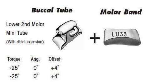 Lower-2nd-Molar-Mini-Tube.jpg 2nd Molar Band Assembly with Lower Single Buccal Tube