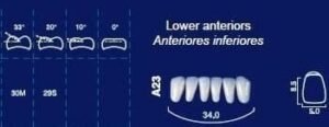 Lower-Anterior-.jpeg Lower Anterior Acrylic Resin Teeth #136 - NewTek