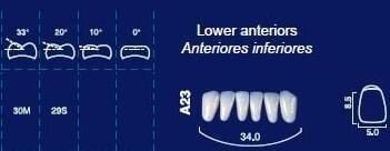Lower Anterior Acrylic Resin Teeth #266 - NewTek