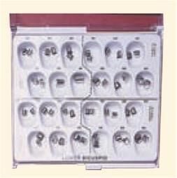 Lower-Bicuspid-Crowns-DA.jpg Stainless Steel Lower Bicuspid Permanent Crowns