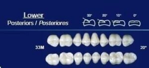 Lower-Posterior-.jpeg Lower Posterior Acrylic Resin Teeth #30L - NewTek