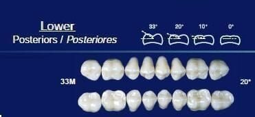 Lower Posterior Acrylic Resin Teeth #32M - NewTek