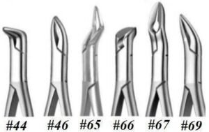 English Pattern Root Forceps