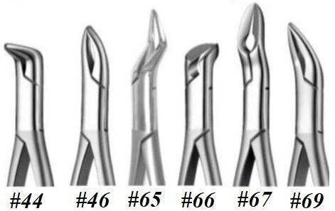 English Pattern Root Forceps