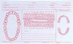 Record Cards - 5"x8"