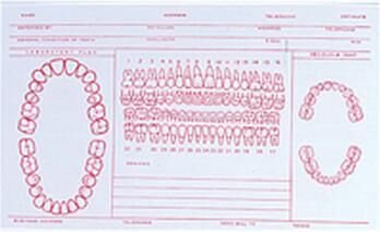 Record Cards - 5"x8"