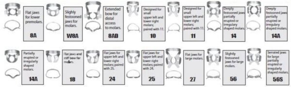 Rubber Dam Clamps - General Molars