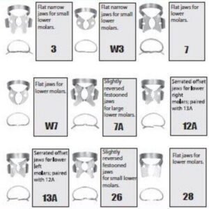 Rubber Dam Clamps - Lower Molars