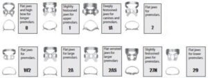 Rubber Dam Clamps - Pre-Molars