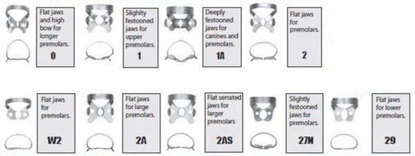 Rubber Dam Clamps - Pre-Molars