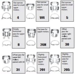 Rubber Dam Clamps - Upper Molars