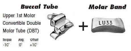 Upper-1st-Molar-Convertible-Double-Molar-Tube.jpg 1st Molar Bands Assembly with Upper DBT Buccal Tube