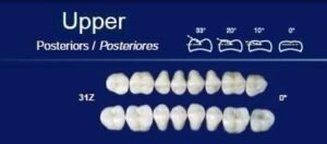 Upper-Posterior-.jpeg Upper Posterior Acrylic Resin Teeth #29M - NewTek