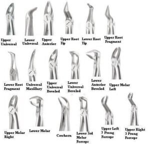X-Trac-Forceps-A.-Titan-01.jpg X-Trac Forceps - A. Titan