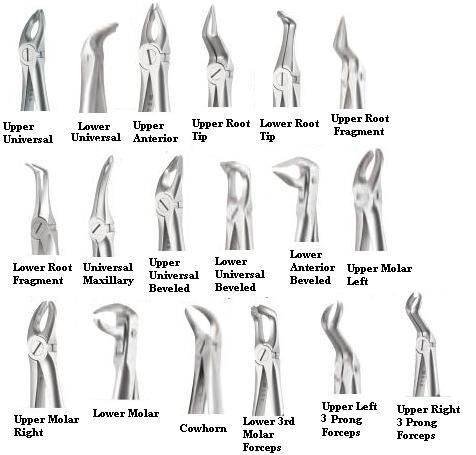 X-Trac Forceps - A. Titan