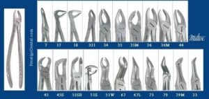 Xcision-Forceps-Miltex.jpg Miltex Xcision Forceps - Integra Miltex