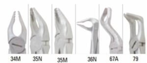 Miltex Xcision Roba Forceps - Integra Miltex