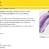 Freealgin Alginate Substitutes - Zhermack