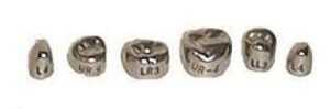 stainless-steel-crowns-03.jpg Stainless Steel Permanent Second Molar Crowns - DSC